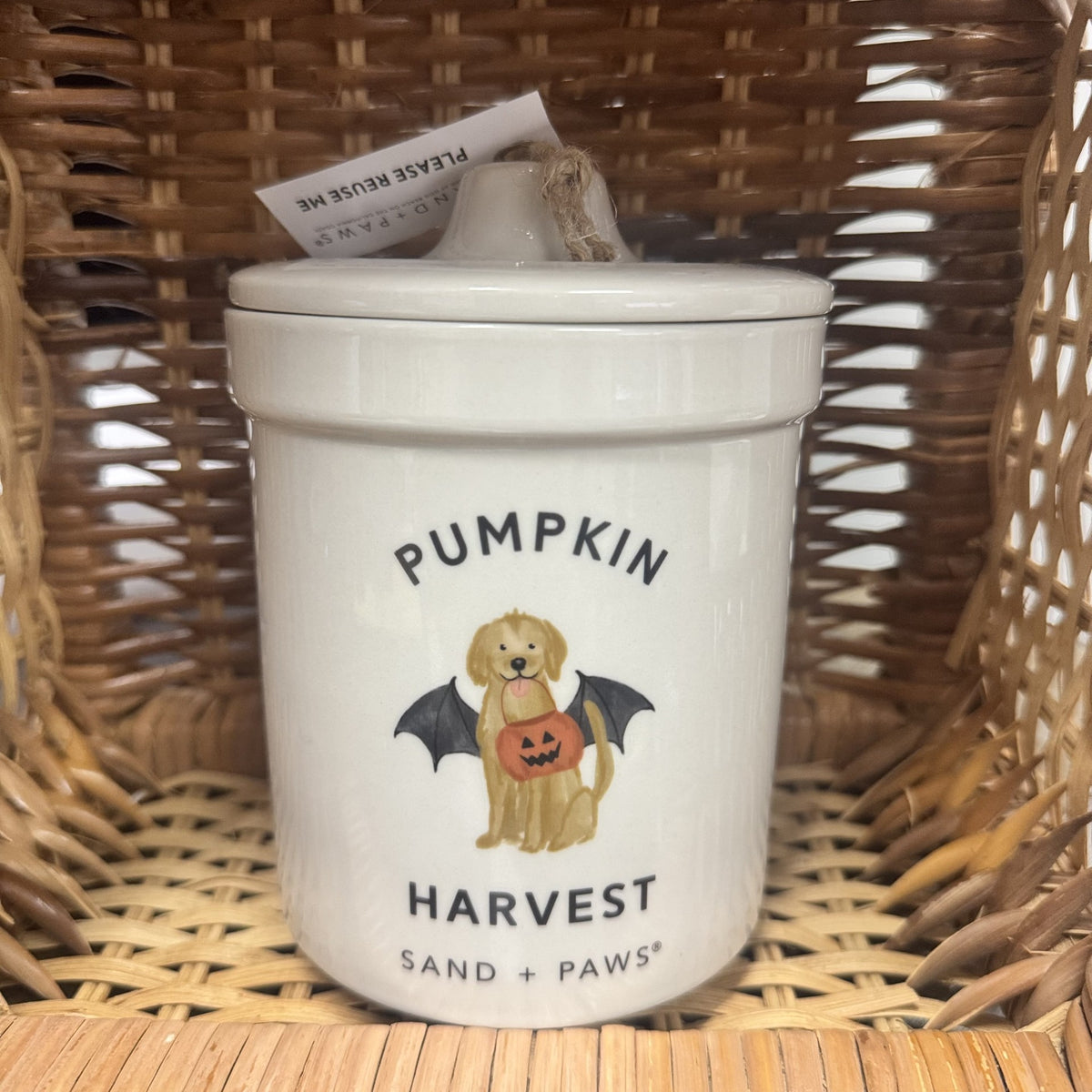 Sand + Paws Pumpkin Harvest Candle